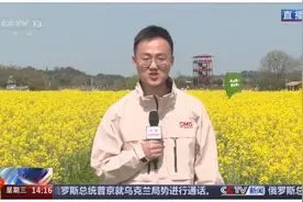 繁花竞放催热“春日经济” 多地围绕“春景产业”深耕文旅市场图片