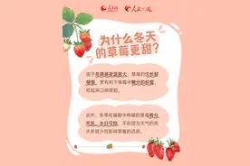 冬天的草莓更甜？关于草莓一文说清楚图片