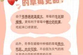 冬天的草莓更甜？关于草莓一文说清楚图片