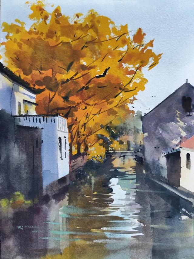 金山这些地方“含金量”满满，再不去等明年…