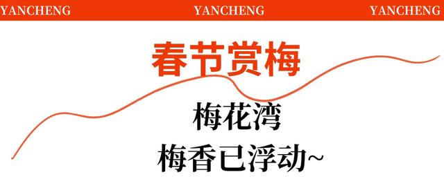 盐城春节活动第一波上新！