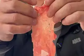 网红带货原切牛肉卷，被质疑是合成肉？厂家已报警图片
