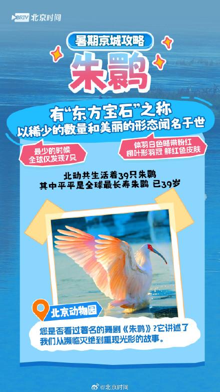 北京网红动物大盘点