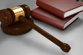 多人盗掘“龙骨”超20公斤，其中两男子犯盗掘古脊椎动物化石罪被判刑图片