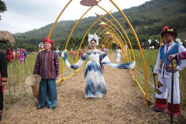 多图+视频！一起回看2025年白沙“啦奥门”雨林与您山兰文化活动精彩瞬间