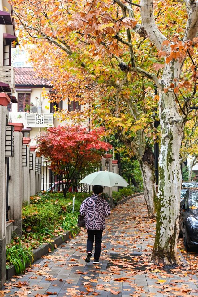 秋冬限定的普陀，美到让人流连忘返，你还不来打卡吗？