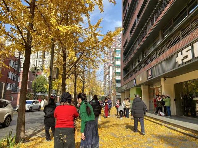 局门路落叶余额不足！市民寒风中打卡满地落叶美景，街头烟火美食也别错过