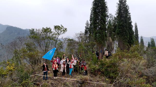 普定县本杰村首届椪柑节举行 徒步采摘带热冬日乡村
