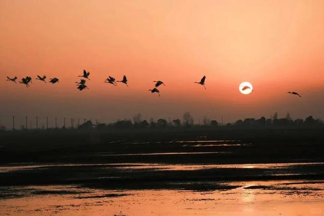 跟着课本游赣鄱！