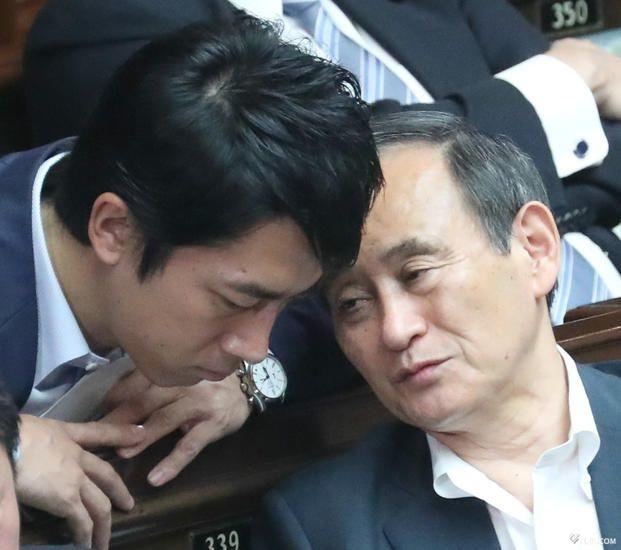 学者谈日本自民党总裁选举的三个剧本
