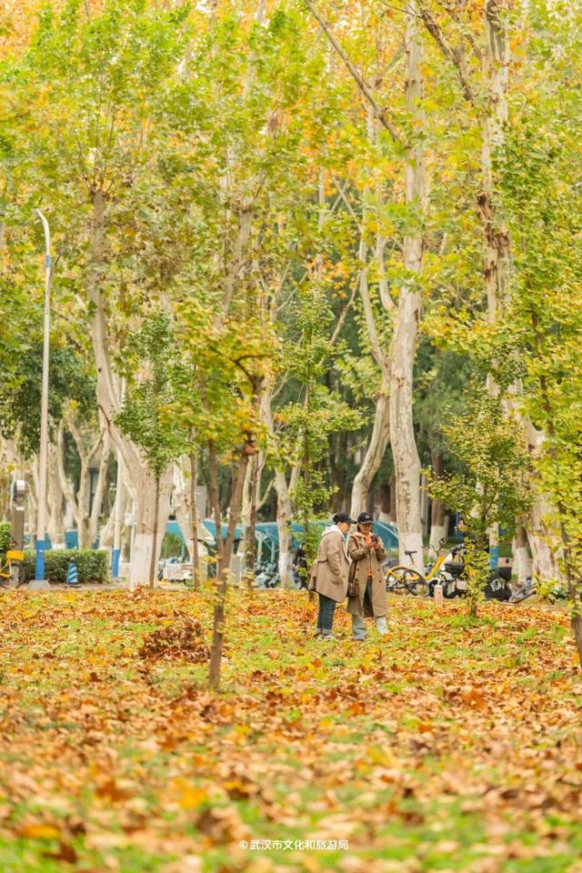 武汉的风有多大？我是被“推”来上班的！