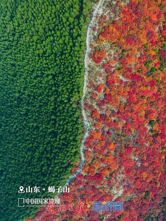 别错过最佳观赏期 一起邂逅满城红黄限定秋景