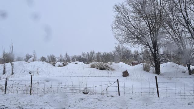 深度丨贺娇龙七日祭：昭苏人说，她就是一个普通人