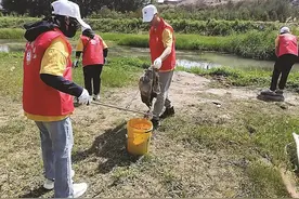 维护河道洁净 守护美丽家园图片