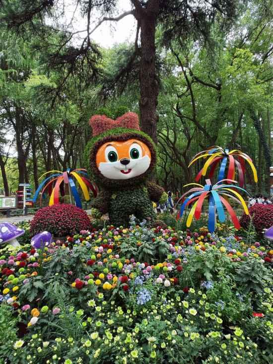 2025上海菊花展在共青森林公园举办 攻略请收好