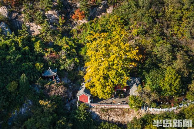 青岛故事｜五彩斑斓的秋日青岛，你怎能不爱？