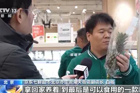 早春“赏花地图”上线 带你解锁最佳赏花“姿势”图片