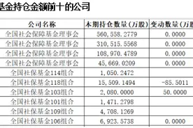 社保基金上半年持仓曝光：坚守稳健投资风格，绩优股成布局重点图片