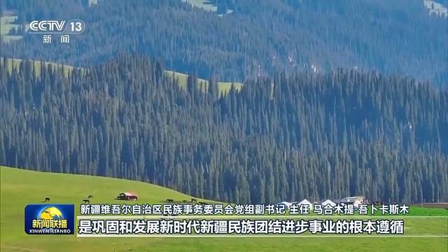 新思想引领新征程丨像石榴籽一样紧紧抱在一起