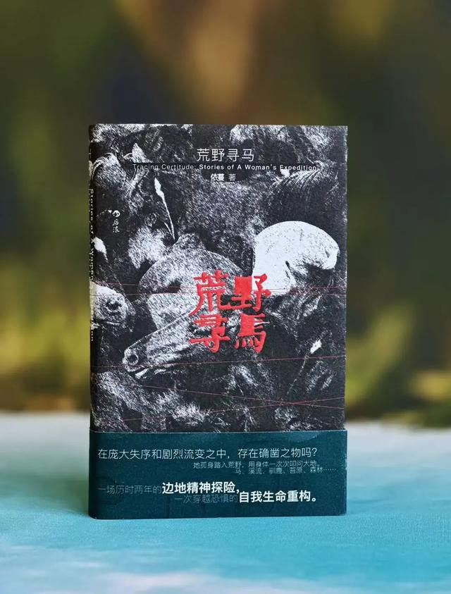 在荒野寻马，不被预测之物蕴藏巨大的美