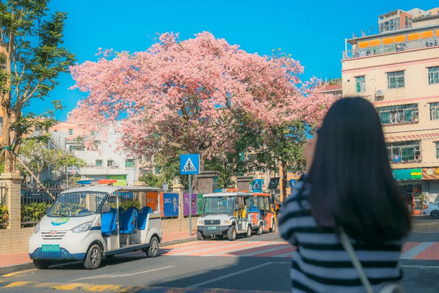 全城“粉”了！地铁直达→