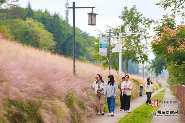 超浪漫！福州2万多平方米花海上线