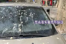 “天屎之路”让人又爱又恨，对鸟类一赶了之不是办法图片