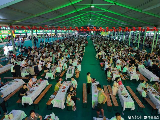 欢聚禹城 干杯世界 禹城2025青岛啤酒节邀你一起夏日狂欢