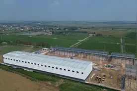 黄河口镇着力建设“黄河口盐田米仓”衔接乡村振兴集中推进区图片
