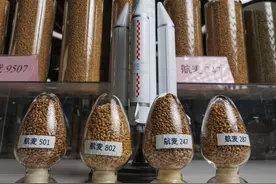 微观北京丨一粒种子的太空之旅图片