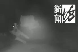 事发上海小区！忠犬救主，只因瞥了一眼，女主人获救……图片