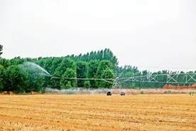 泰安肥城市：“本地水+黄河水”抗旱保粮安图片