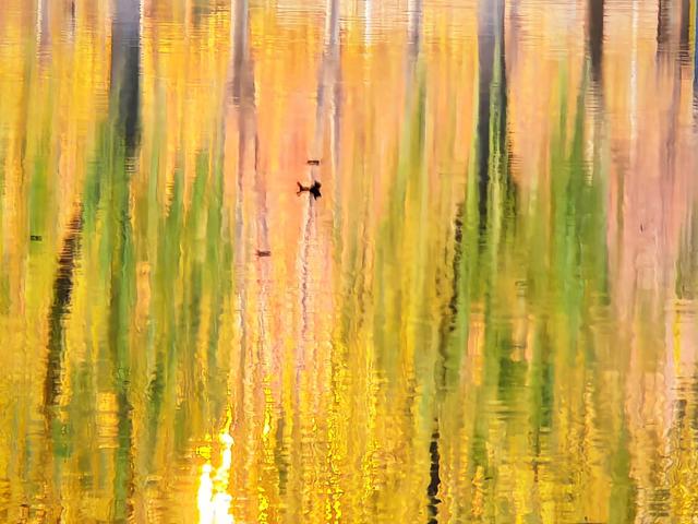 北京号最精彩｜赏菊+品宴！初冬的第一份浪漫就藏在这里→