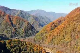 陕西关山草原：秋色斑斓惹人醉图片