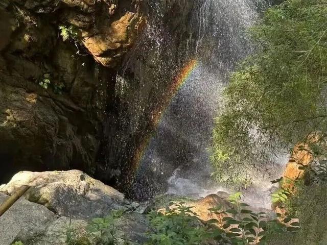 向云端，17分钟，这条云端索道全攻略来啦！