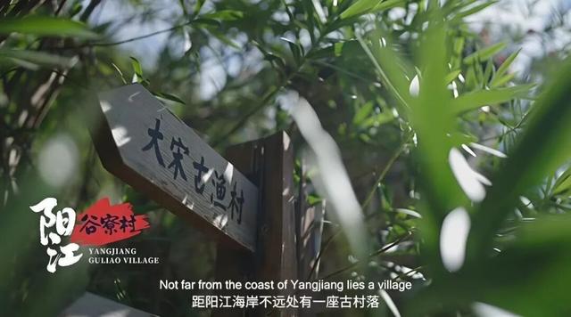 多位外籍网红博主“打卡”阳江