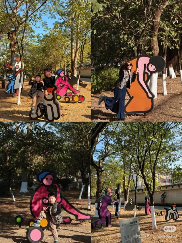 最美松湖｜双年展进入最后倒计时！与绝美落羽杉同框时机就在本周→