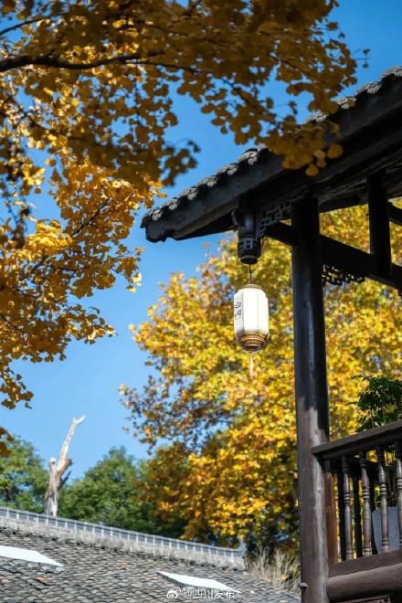 四川这份深秋限定浪漫，等你“淘”取！