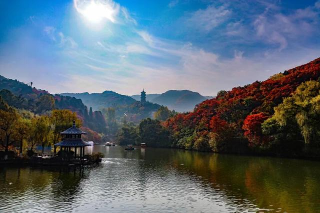 从云端到山野，济南这两地入选省级案例！你打卡过吗？