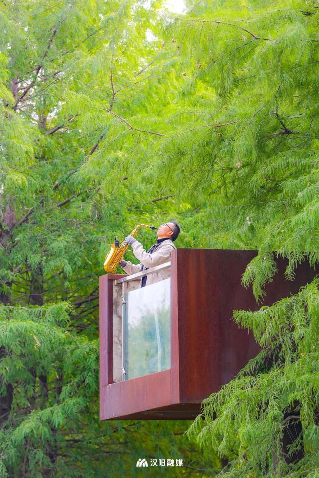 爆火机位！汉阳这个阳台，红了！