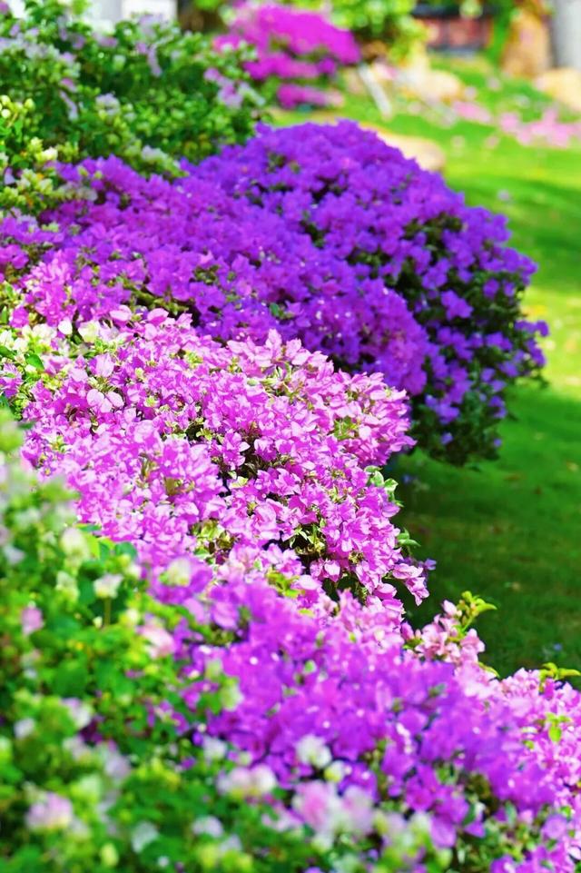 跟着节气来打卡 | 今日立冬，美好正当时！来南宁收藏一帧初冬的浪漫画卷