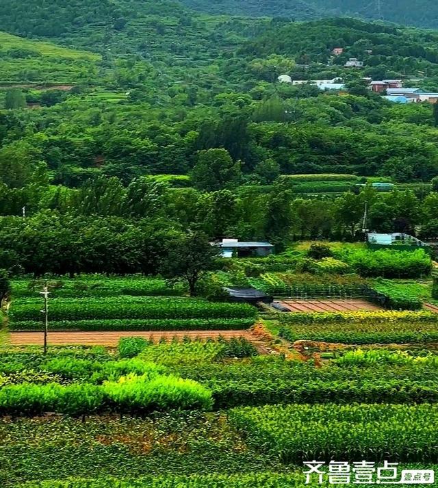壹点号·秀山东丨济南“后花园”大美仲宫