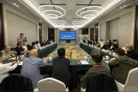四川荣县举行大佛石窟保护利用学术研讨交流活动 全县登记在册石窟寺及石刻共30余处图片