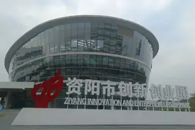资阳市创新创业园：为返乡创业者铺就“归雁之路”图片