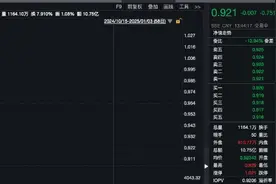 权益ETF昨日获资金净流入近180亿元，A500指数ETF（560610）盘中溢价，云铝股份涨超7%图片
