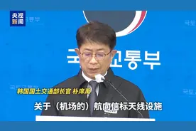 韩国国土交通部确认：济州航空客机失事前遭遇鸟击图片