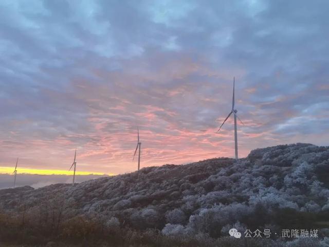 武隆：罩云山迎来今冬首场大范围雾凇美景