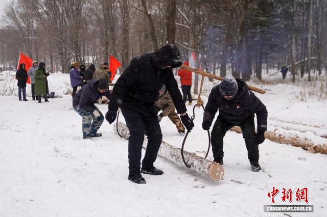 黑龙江铁力：游客沉浸式体验林区生活
