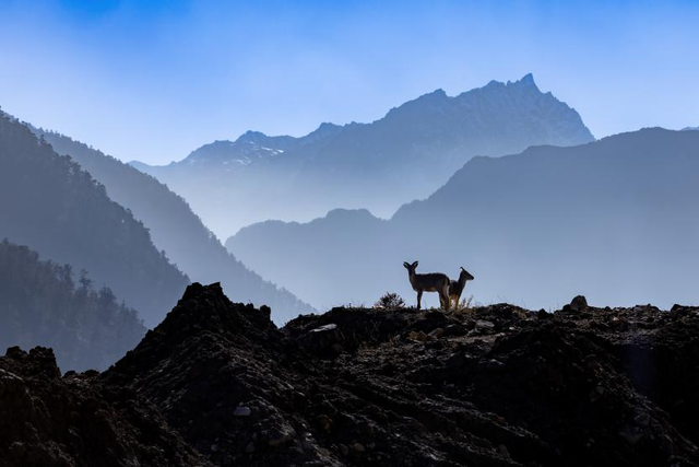 科考旅行｜秘境山南生态考察报名