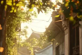 喝红糖茶图片